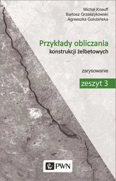 Przykłady obliczania konstrukcji żelbetowych. Zeszyt 3 - Agnieszka Golubińska, Bartosz Grzeszykowski, Michał Knauff