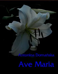 Ave Maria - Antonina Domańska