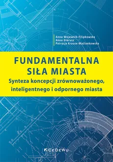 Fundamentalna siła miasta - Outlet - Anna Gierusz, Patrycja Krauze-Maślankowska, Anna Wojewnik-Filipkowska