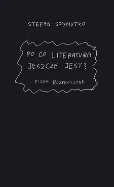 Po co literatura jeszcze jest? - 02 Przestrzenie teorii - Stefan Szymutko