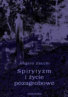 Spirytyzm i życie pozagrobowe - Angelo Zacchi