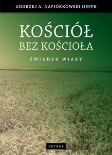 Kościół bez kościoła - Andrzej Napiórkowski