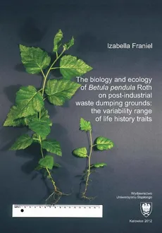 The biology and ecology of „Betula pendula” Roth on post-industrial waste dumping grounds: the variability range of life history traits - 05 Rozdz. 5, cz. 2. Results: Biometric characteristics of generative organs; Efficiency of pollen germination - Izabella Franiel