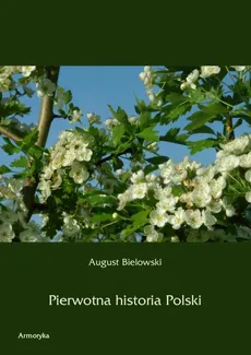 Pierwotna historia Polski - August Bielowski