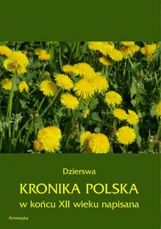 Kronika polska Dzierswy (Dzierzwy) - Dzierswa