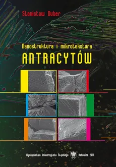 Nanostruktura i mikrotekstura antracytów - 04 Podsumowanie; Literatura - Stanisław Duber