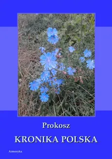 Kronika polska Prokosza - Prokosz