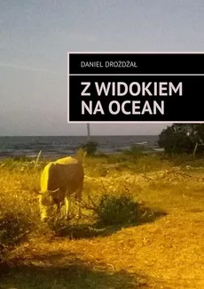 Z widokiem na ocean - Daniel Drożdżał