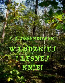 W ludzkiej i leśnej kniei - Antoni Ferdynand Ossendowski