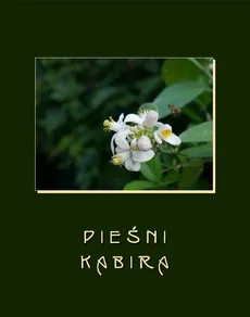 Pieśni Kabira - Kabir