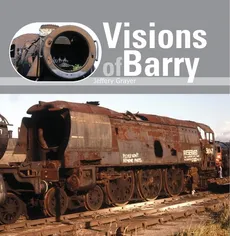 Visions of Barry - Outlet - Jeffery Grayer