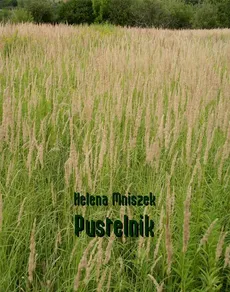 Pustelnik - Helena Mniszek