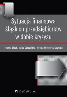 Sytuacja finansowa śląskich przedsiębiorstw w dobie kryzysu - Joanna Błach, Maria Gorczyńska, Monika Wieczorek-Kosmala