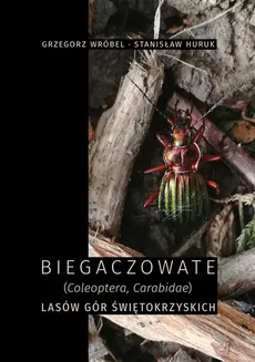 Biegaczowate (Coleoptera, Carabidae) lasów Gór Świętokrzyskich - Grzegorz Wróbel, Stanisław Huruk