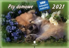 Kalendarz 2021 WL08 Psy domowe