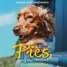 Pies, który nas odnalazł - Jagna Kaczanowska