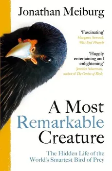A Most Remarkable - Jonathan Meiburg