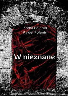 W nieznane - Kamil Polanin, Paweł Polanin