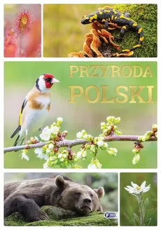 Przyroda Polski - Outlet