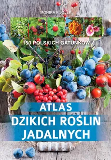 Atlas dzikich roślin jadalnych - Monika Fijołek
