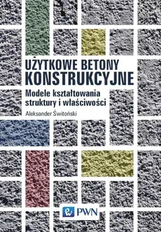 Użytkowe betony konstrukcyjne - Outlet - Aleksander Świtoński