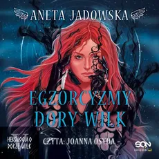 Egzorcyzmy Dory Wilk - Aneta Jadowska