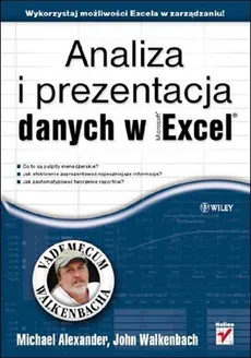 Analiza i prezentacja danych w Microsoft Excel - Outlet - Alexander Michael, John Walkenbach