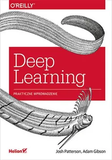 Deep Learning Praktyczne wprowadzenie - Outlet - Gibson Adam, Patterson Josh
