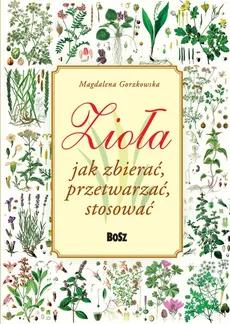 Zioła Jak zbierać, przetwarzać, stosować - Magdalena Gorzkowska