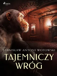 Tajemniczy wróg - Stanisław Wotowski