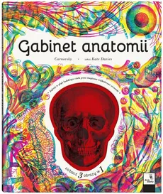 Gabinet anatomii - Outlet - Barbara Taylor