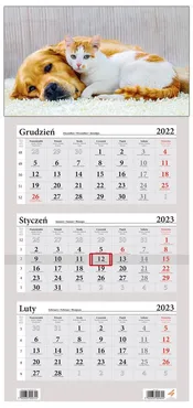 Kalendarz 2023 Trójdzielny LUX Pies i Kot - Outlet