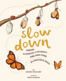 Slow Down Zwolnij - Outlet - Rachel Williams