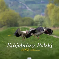 Kalendarz 2023 spirala Krajobrazy Polski KD35