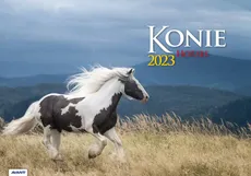 Kalendarz 2023 albumowy Konie  KA10 - Outlet