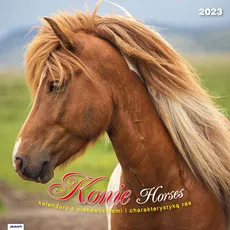 Kalendarz 2023 albumowy Konie KAD11
