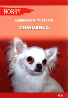 Chihuahua - Outlet - Agnieszka Matuszczyk