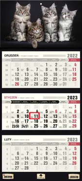 Kalendarz 2023 ścienny Trójdzielny Kotki