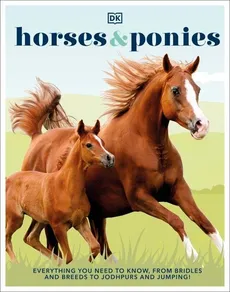 Horses & Ponies - Outlet