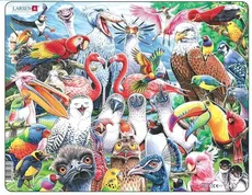 Układanka Wesołe ptaki z całego świata 115 elementów
