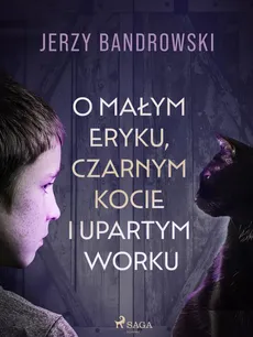 O małym Eryku, czarnym kocie i upartym worku - Jerzy Bandrowski