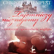 Tajemniczy nieznajomy - erotyczne opowiadanie wigilijne - Christina Tempest