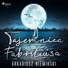 Tajemnica Fabritiusa - Arkadiusz Niemirski