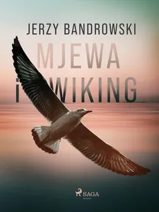 Mjewa i Wiking - Jerzy Bandrowski