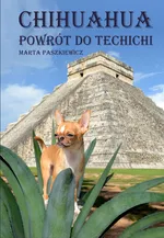Chihuahua powrót do techichi - Marta Paszkiewicz