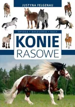Konie rasowe - Outlet - Justyna Felgenau