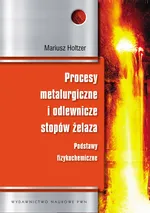 Procesy metalurgiczne i odlewnicze stopów żelaza - Outlet - Mariusz Holtzer