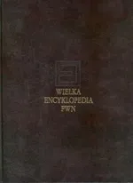 Wielka encyklopedia PWN Tom 7 - Outlet