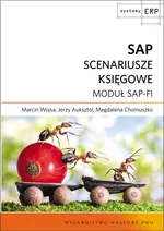 SAP Scenariusze księgowe - Outlet - Jerzy Auksztol