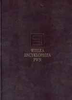Wielka encyklopedia PWN Tom 8 - Outlet